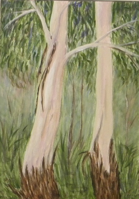 pair of gumtrees