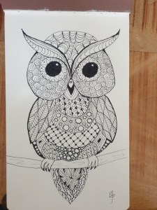 image of an owl