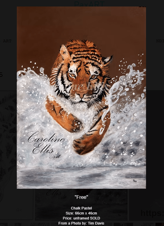 Image of a tiger painted in soft pastel by Caroline Packer PAXart